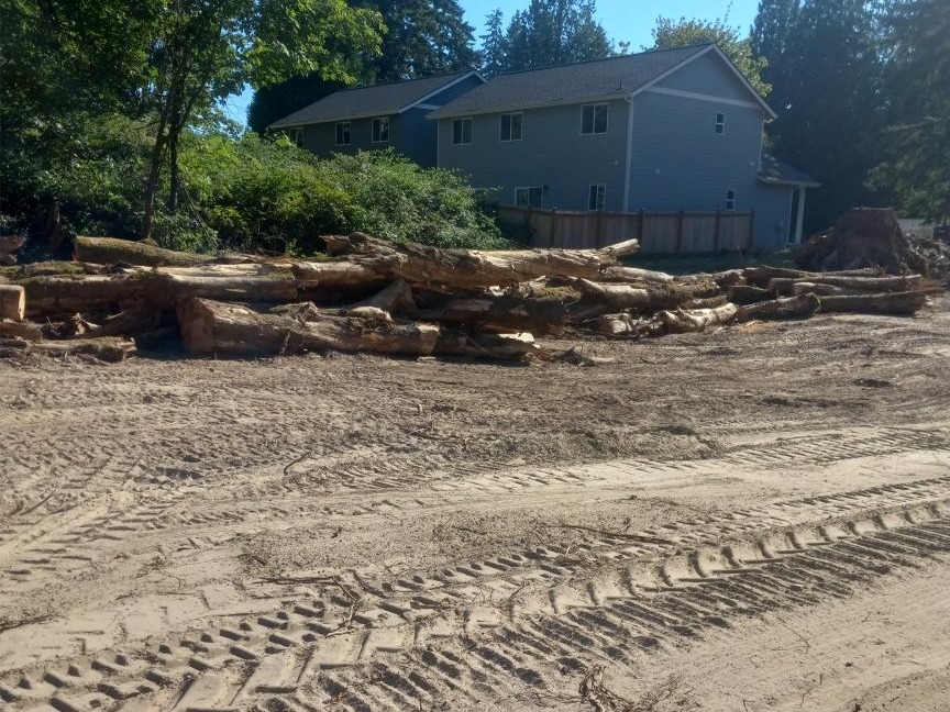 CLEARING AND GRADING